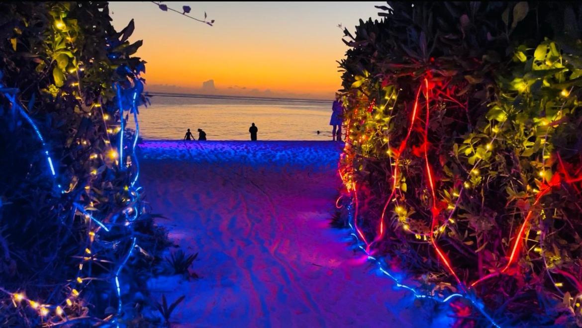 Sunny Beach Тодду Экстерьер фото